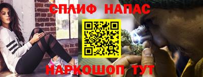 сатива Кандалакша