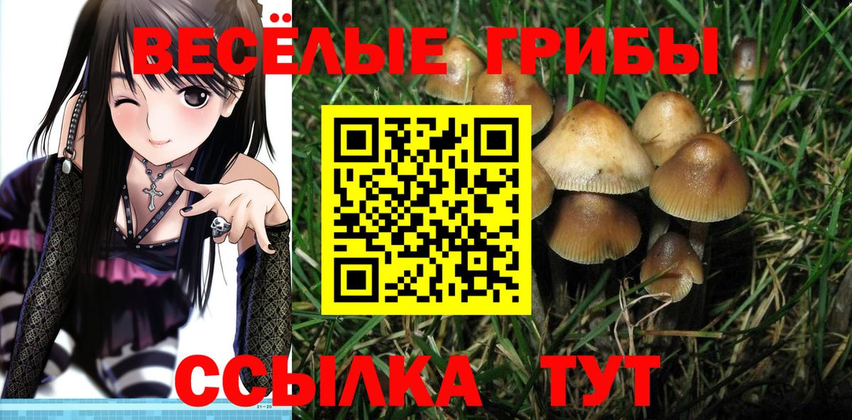 Киреевск  Галлюциногенные грибы Cubensis  цена наркотик  Вход с VPN  Галлюциногенные грибы GOLDEN TEACHER 